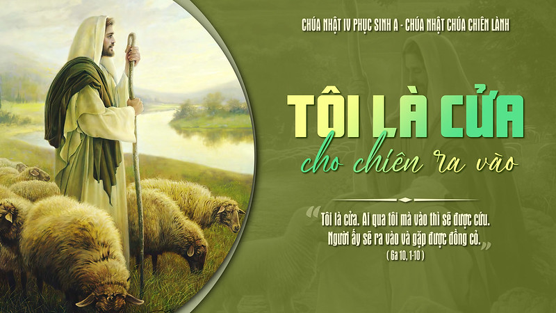 CHÚA NHẬT 4 PHỤC SINH NĂM A - CHÚA NHẬT CHÚA CHIÊN LÀNH